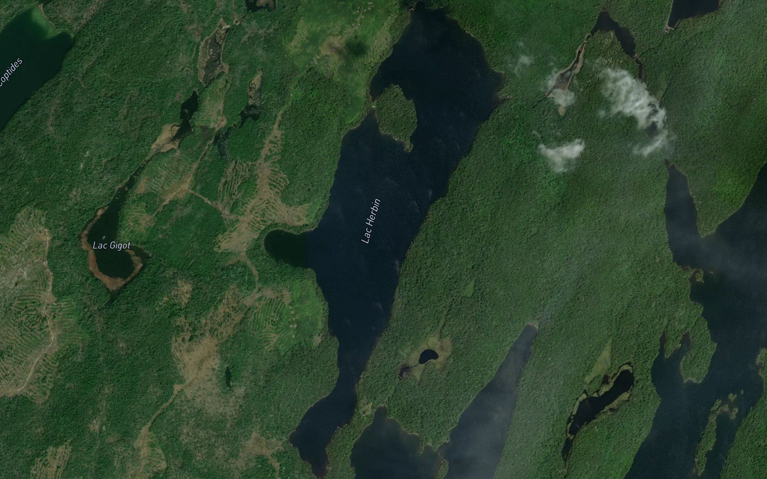 Lac Herbin