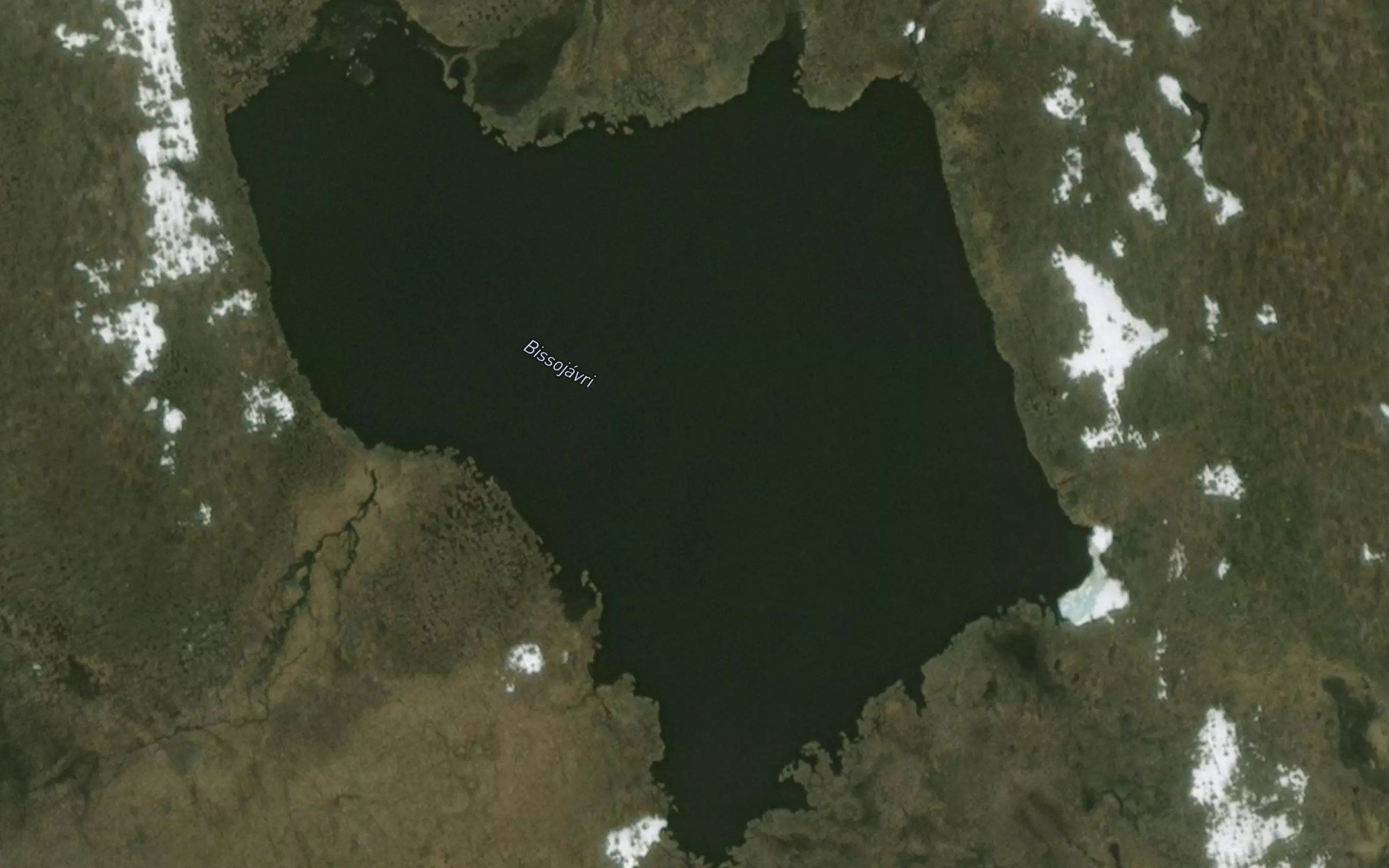 Bissujavri