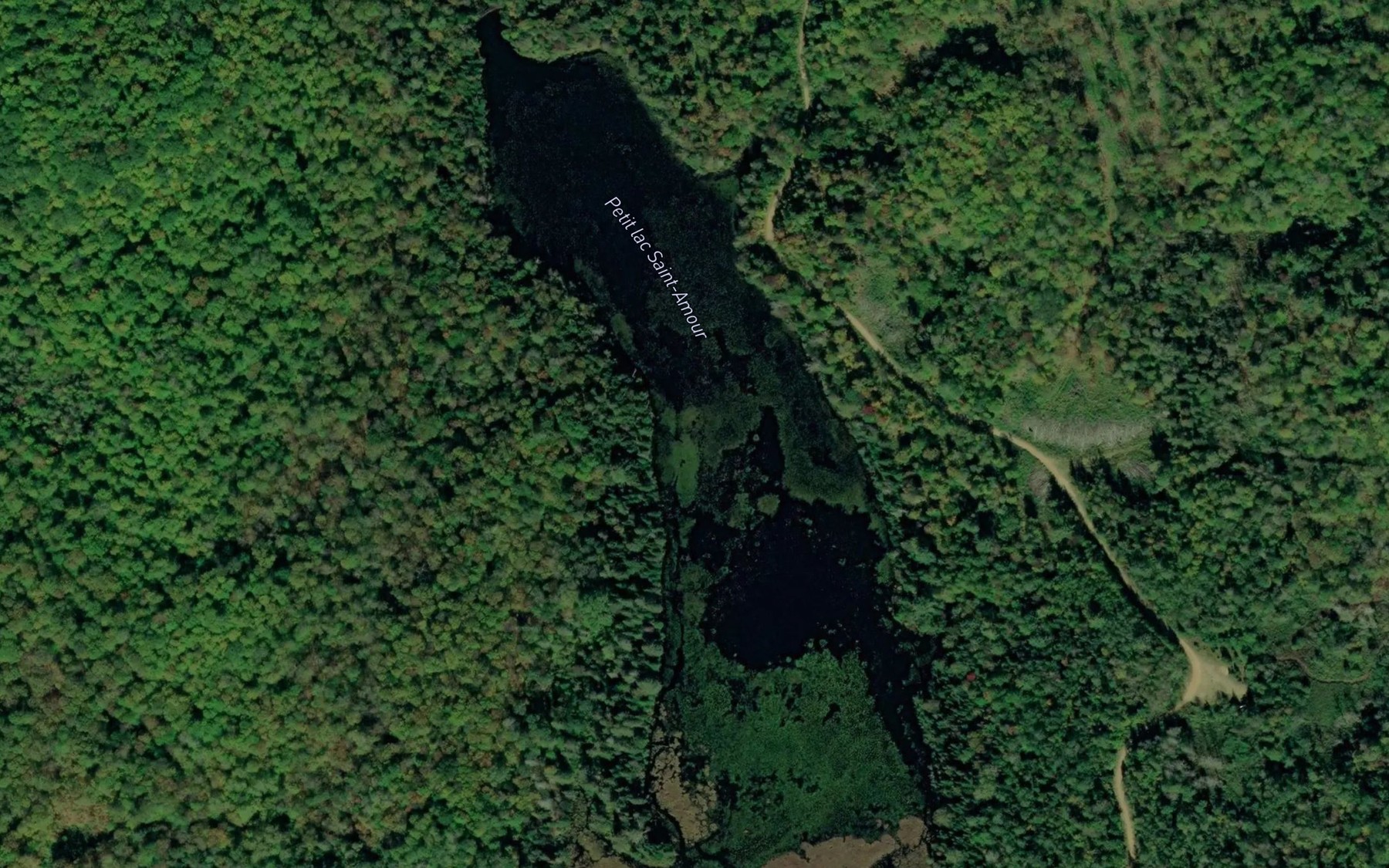 Satellite map of the Petit lac Saint-Amour