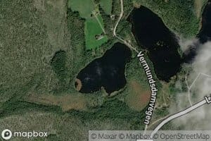 Tjernmotjennet