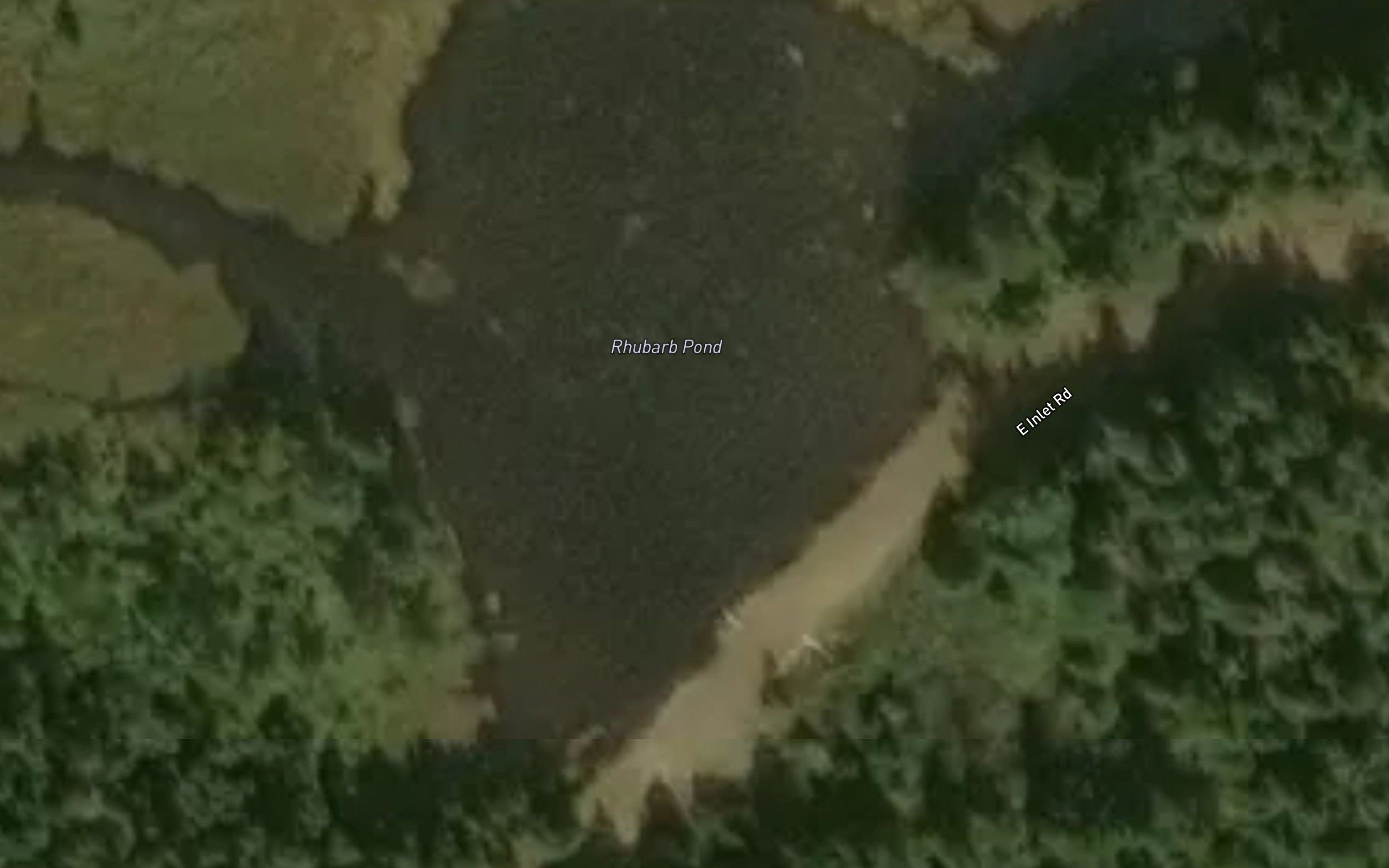 Rhubarb Pond