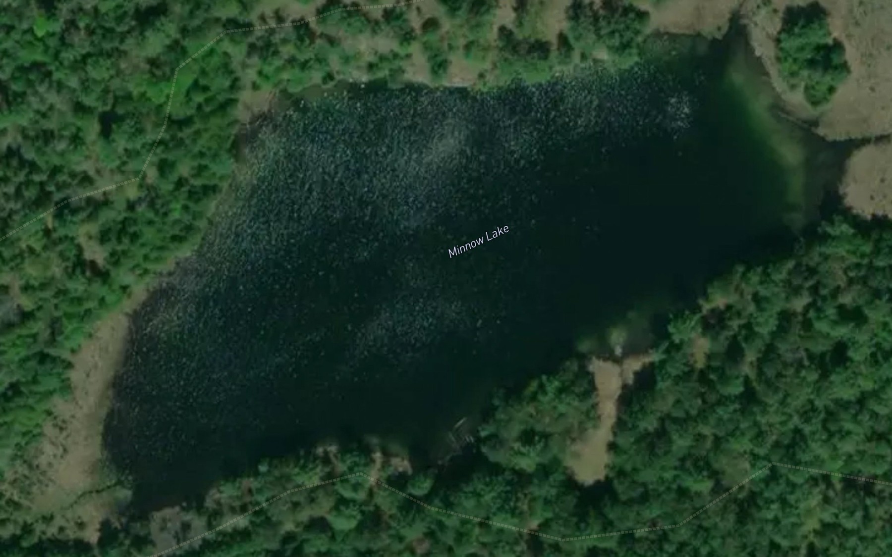 Satellite map of the Minnow Lake