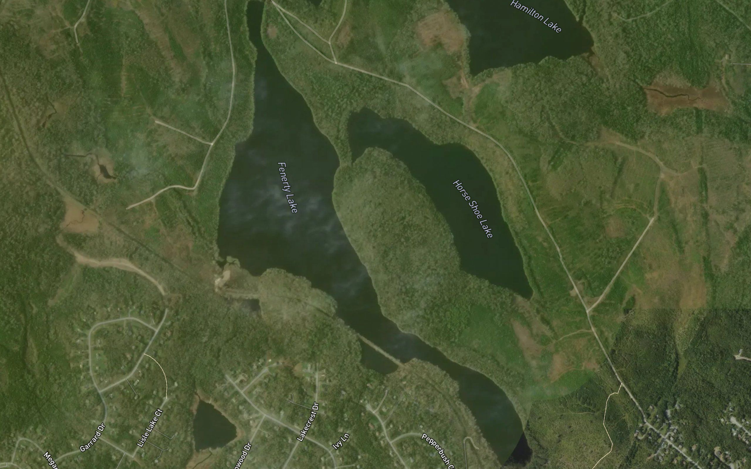 Fenerty Lake