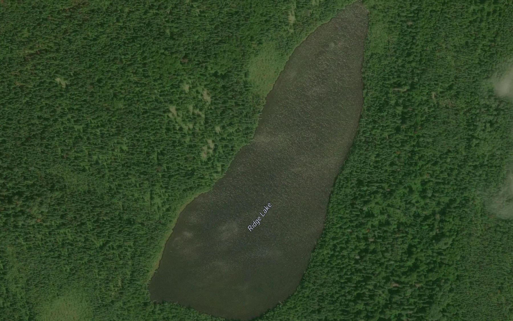 Satellite map of the Ridge Lake