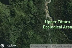 Totara River