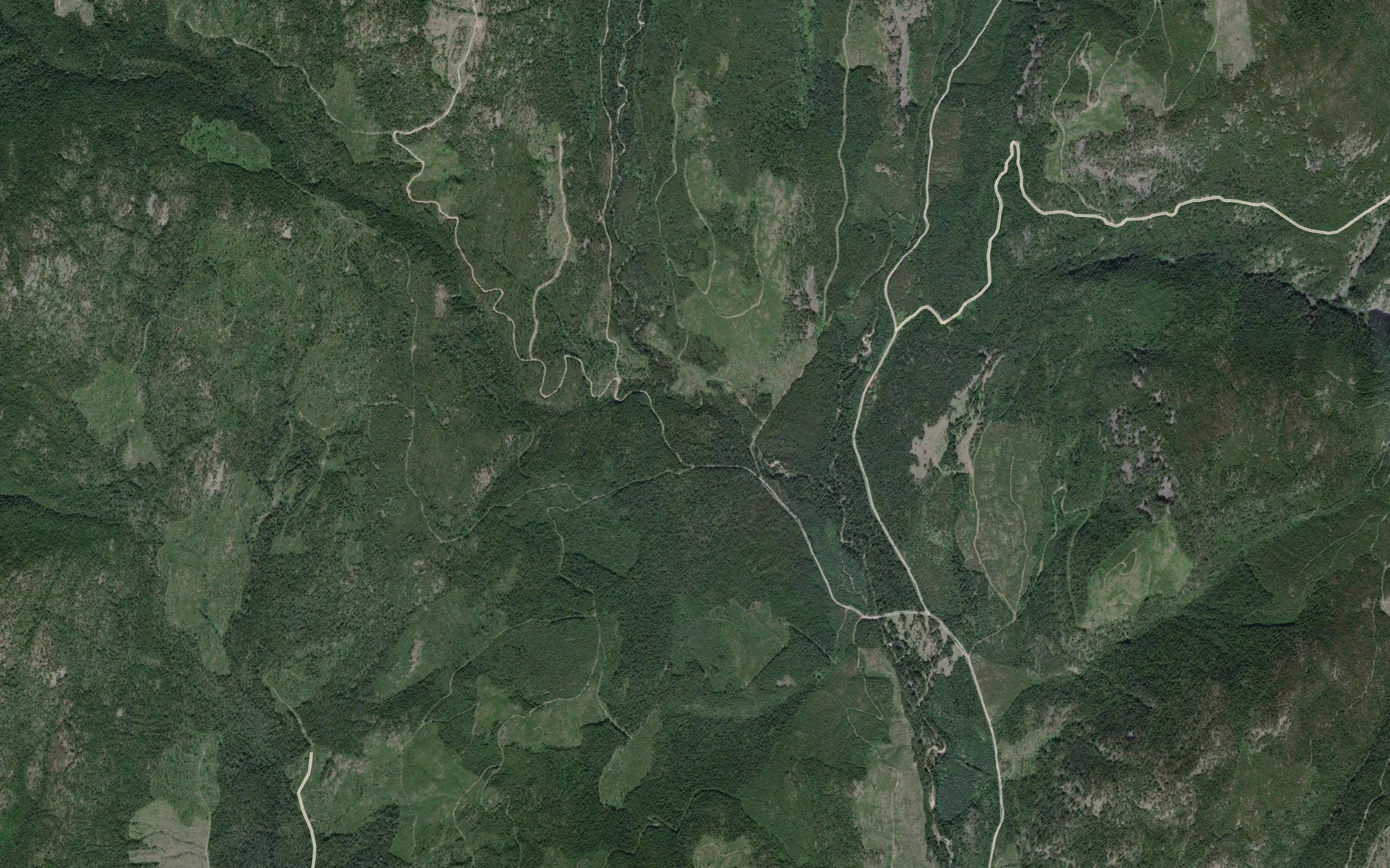 Walter Creek