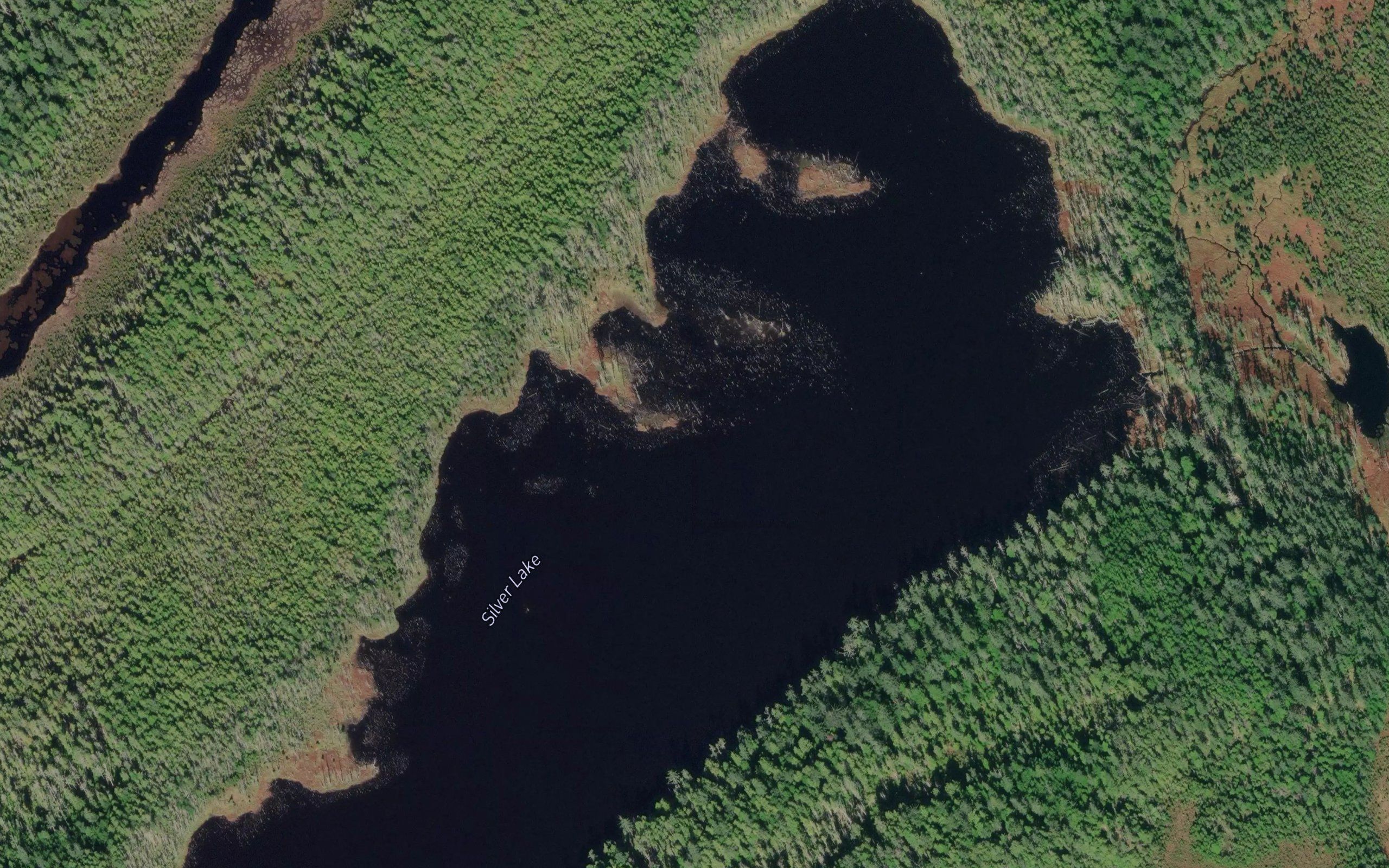 Silver Lake