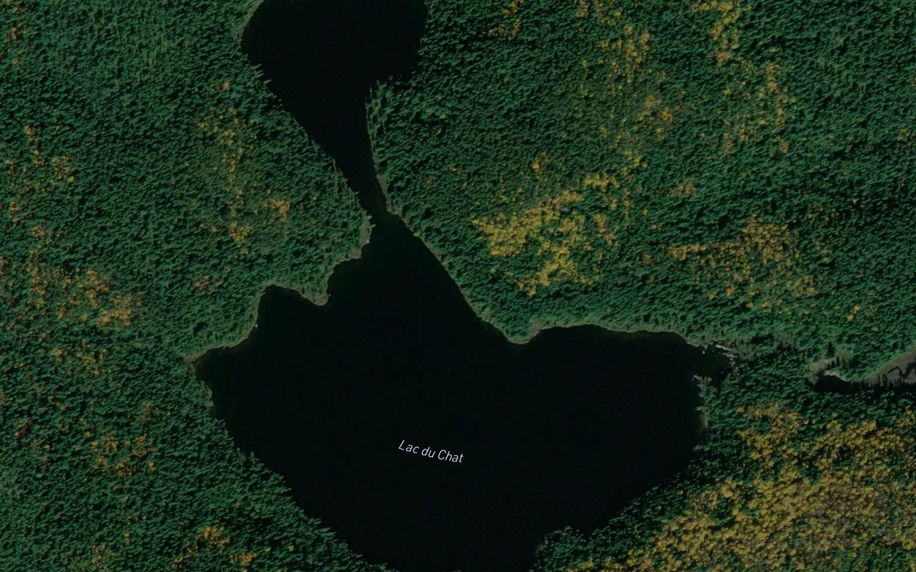 Satellite map of the Lac du Chat