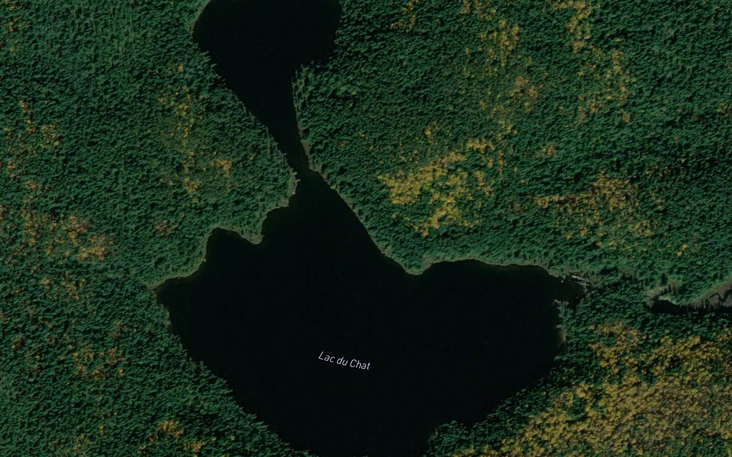Lac du Chat