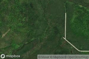 West Branch Chase Brook