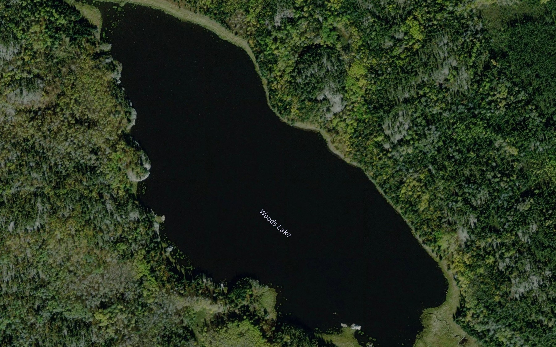 Satellite map of the Woods Lake