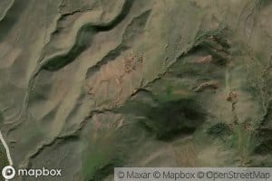 Ant Reservoirs