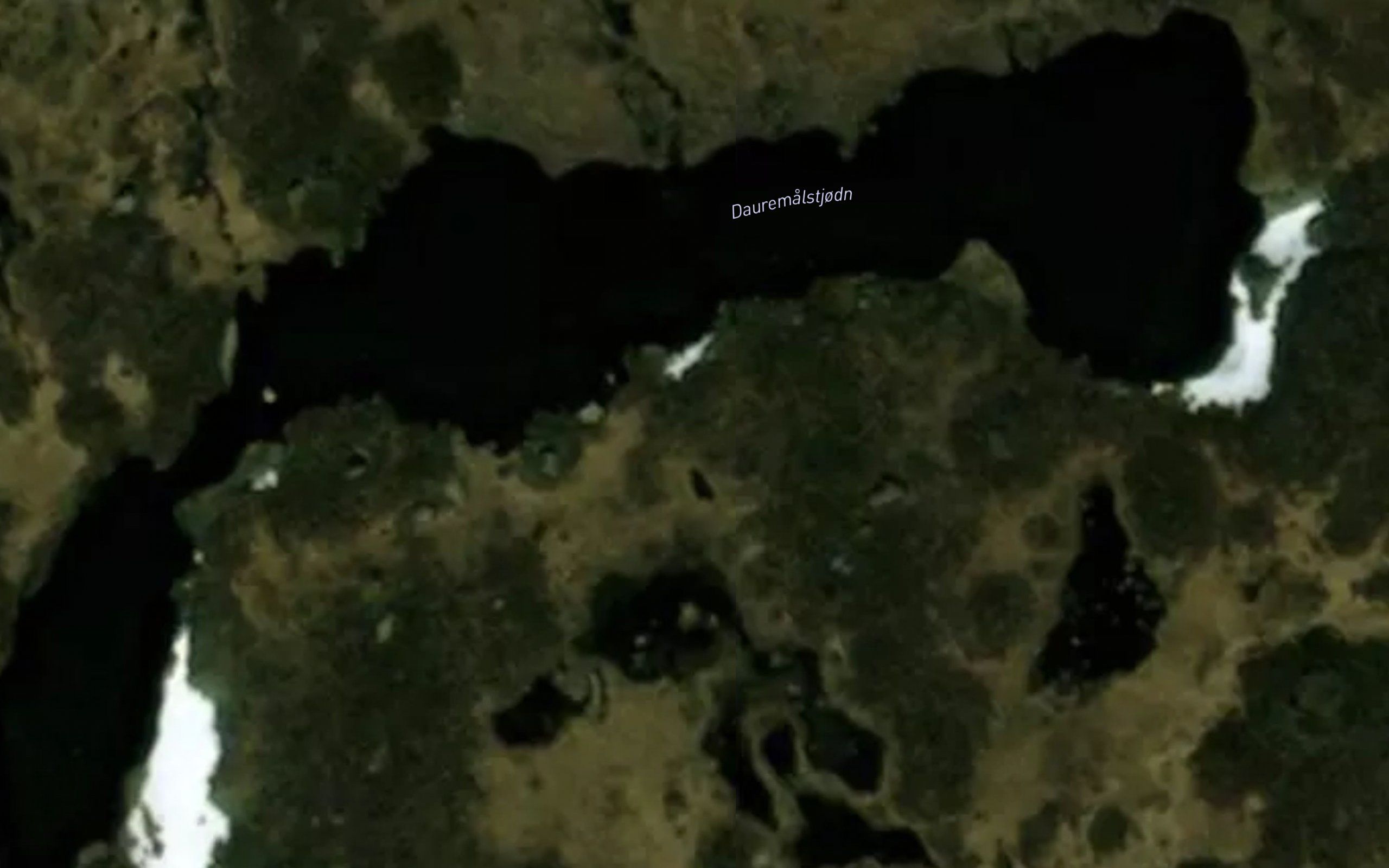 Dauremalstjodn