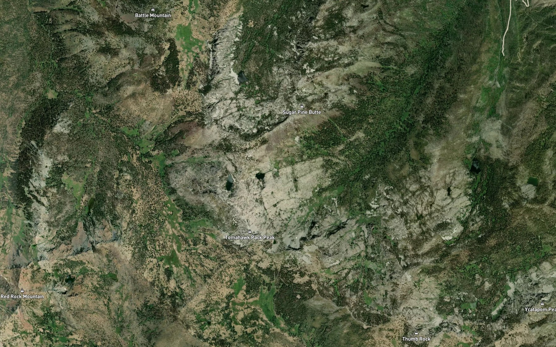 Satellite map of the Conway Lake