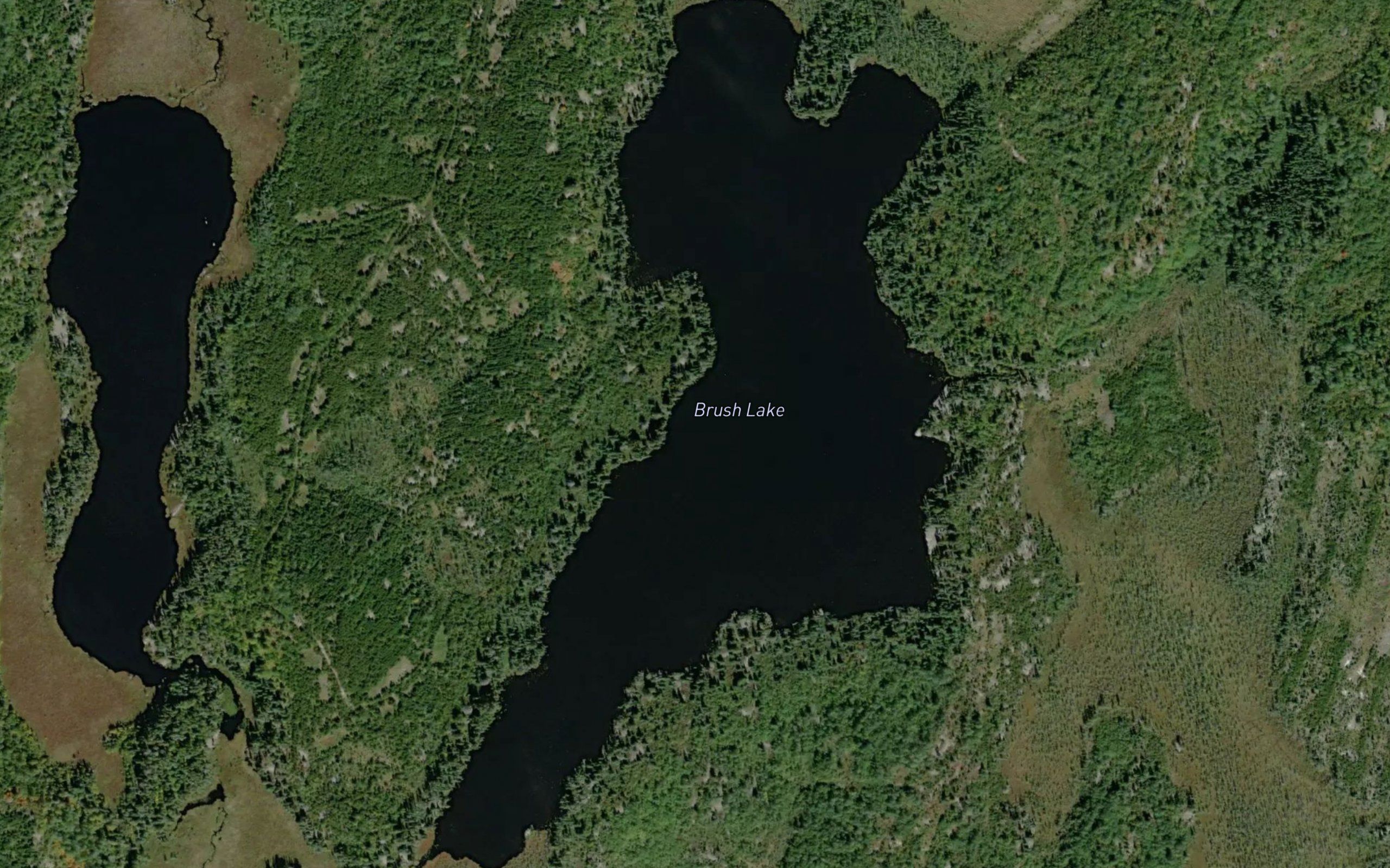 Brush Lake