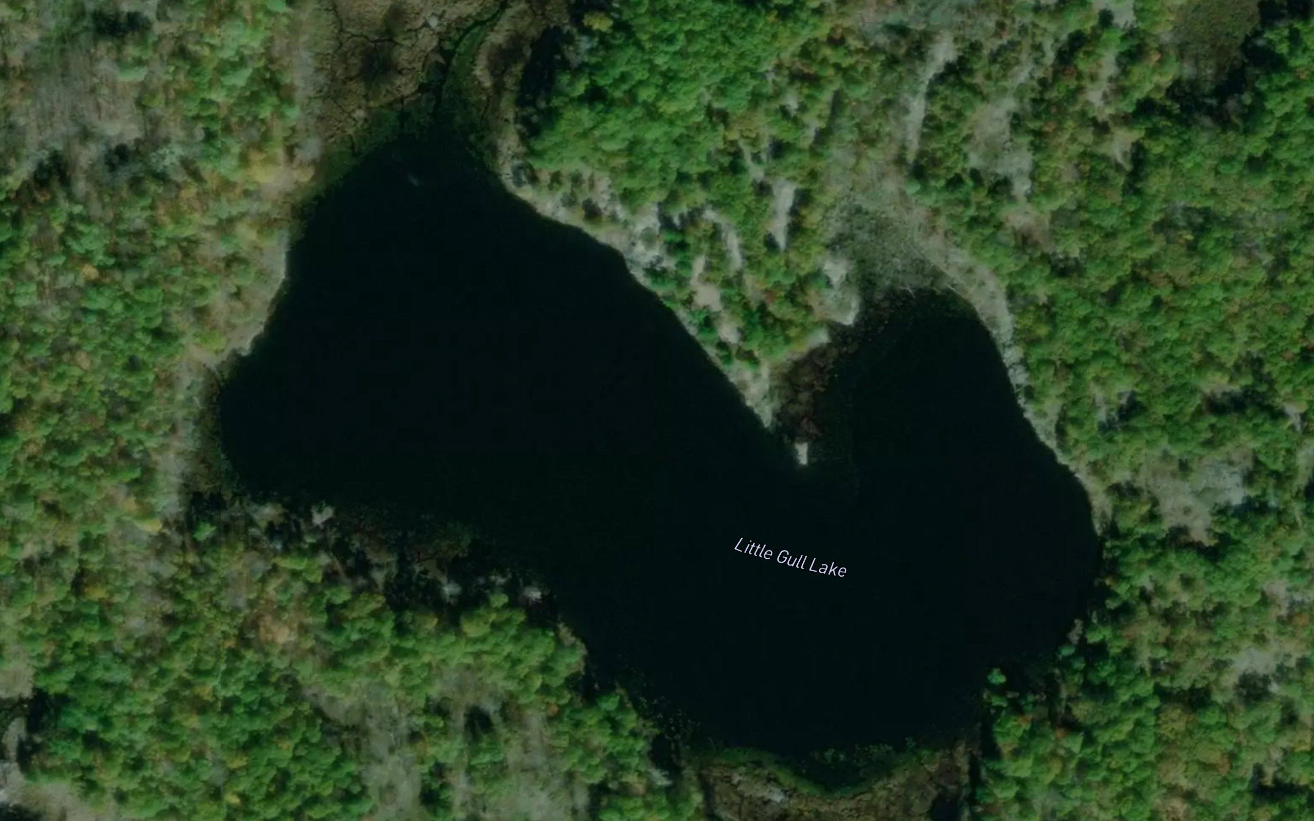 Little Gull Lake