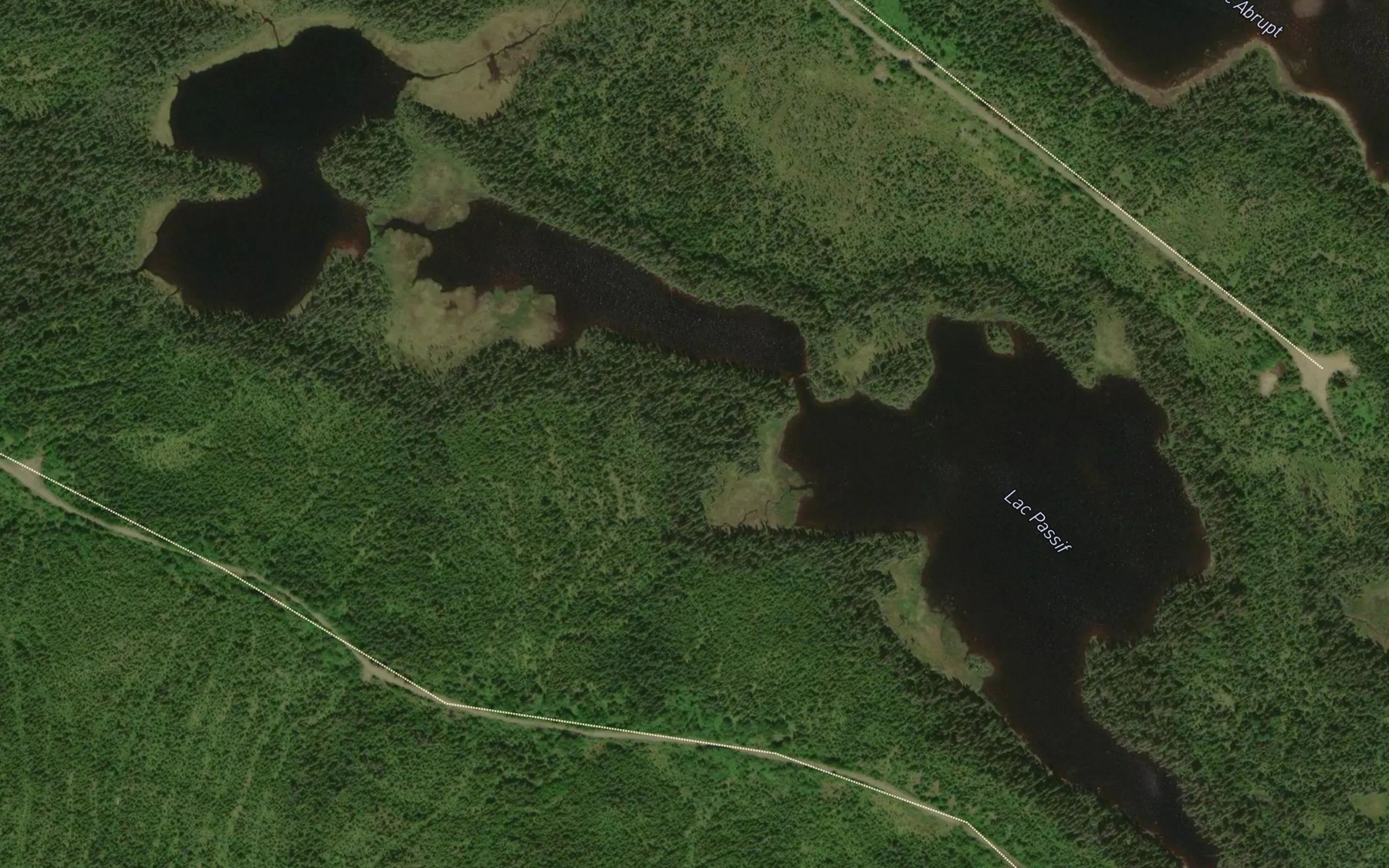 Satellite map of the Lac Passif