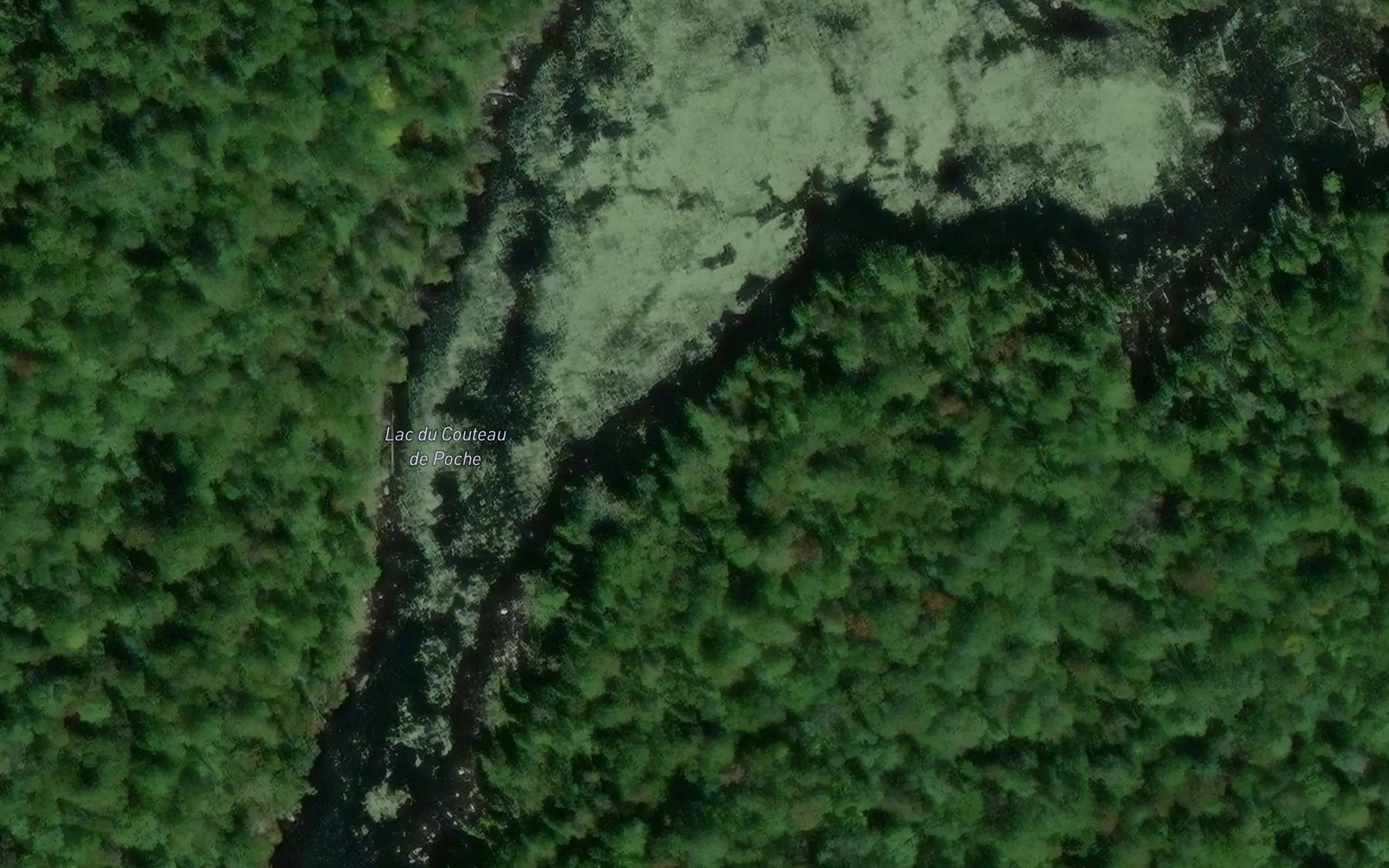 Satellite map of the Lac du Couteau de Poche