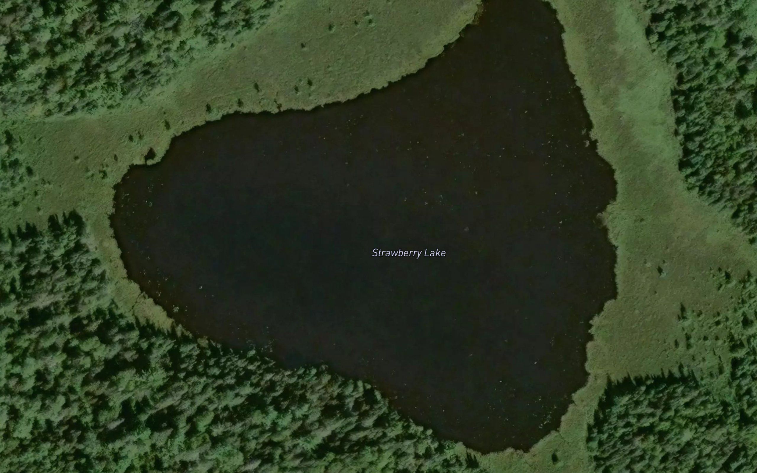 Strawberry Lake