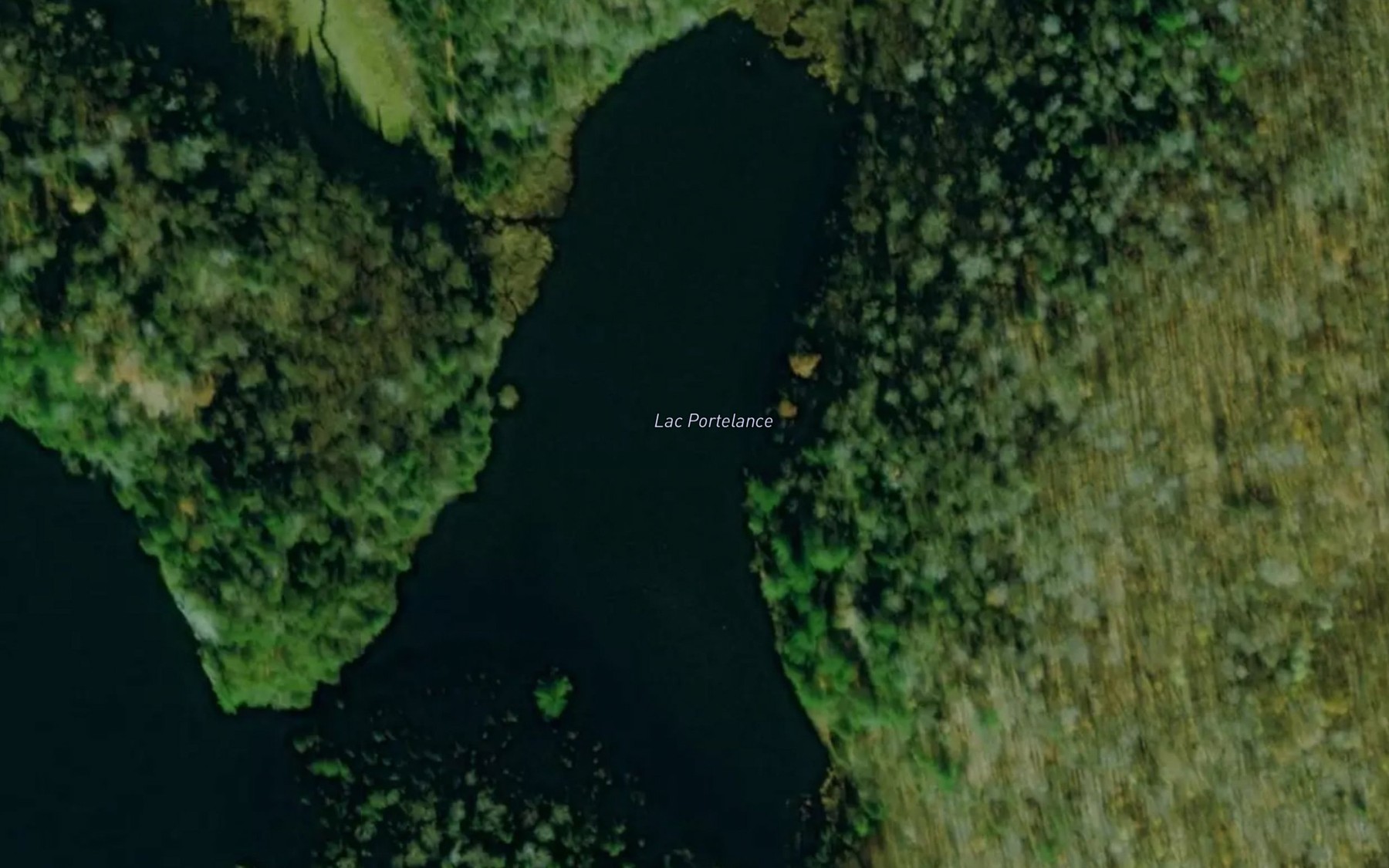 Satellite map of the Lac Portelance