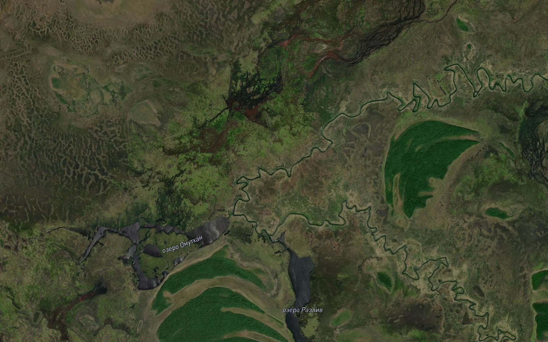 Satellite map of the Protoka Protochnaya