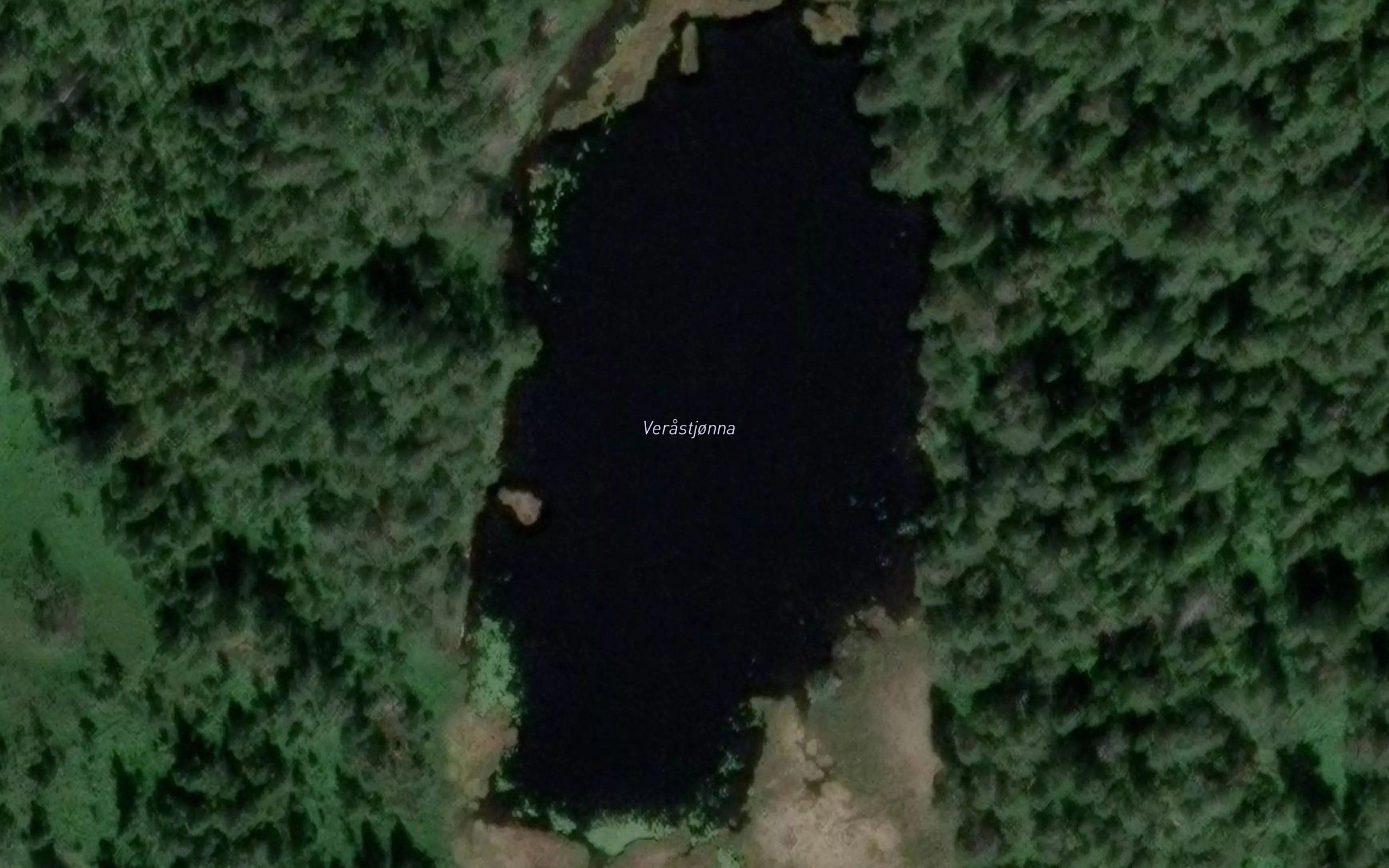 Verastjorna