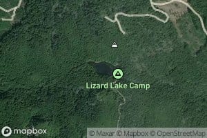 Lizard Lake