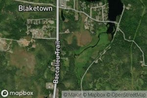 Diamond Bridge Brook