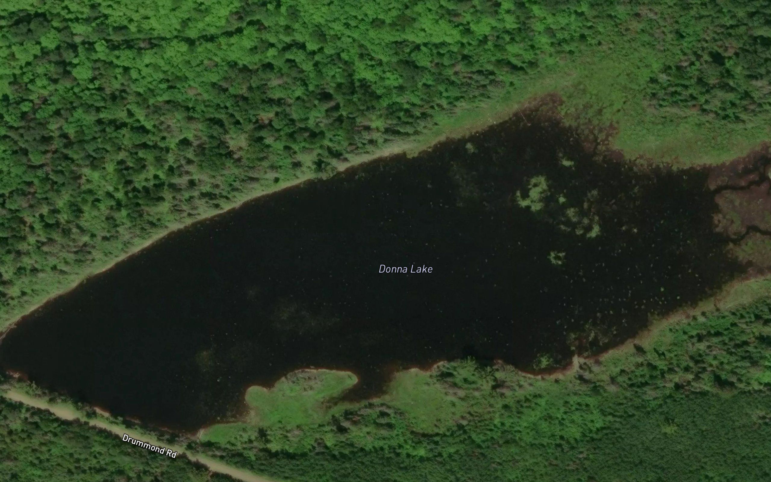 Donna Lake