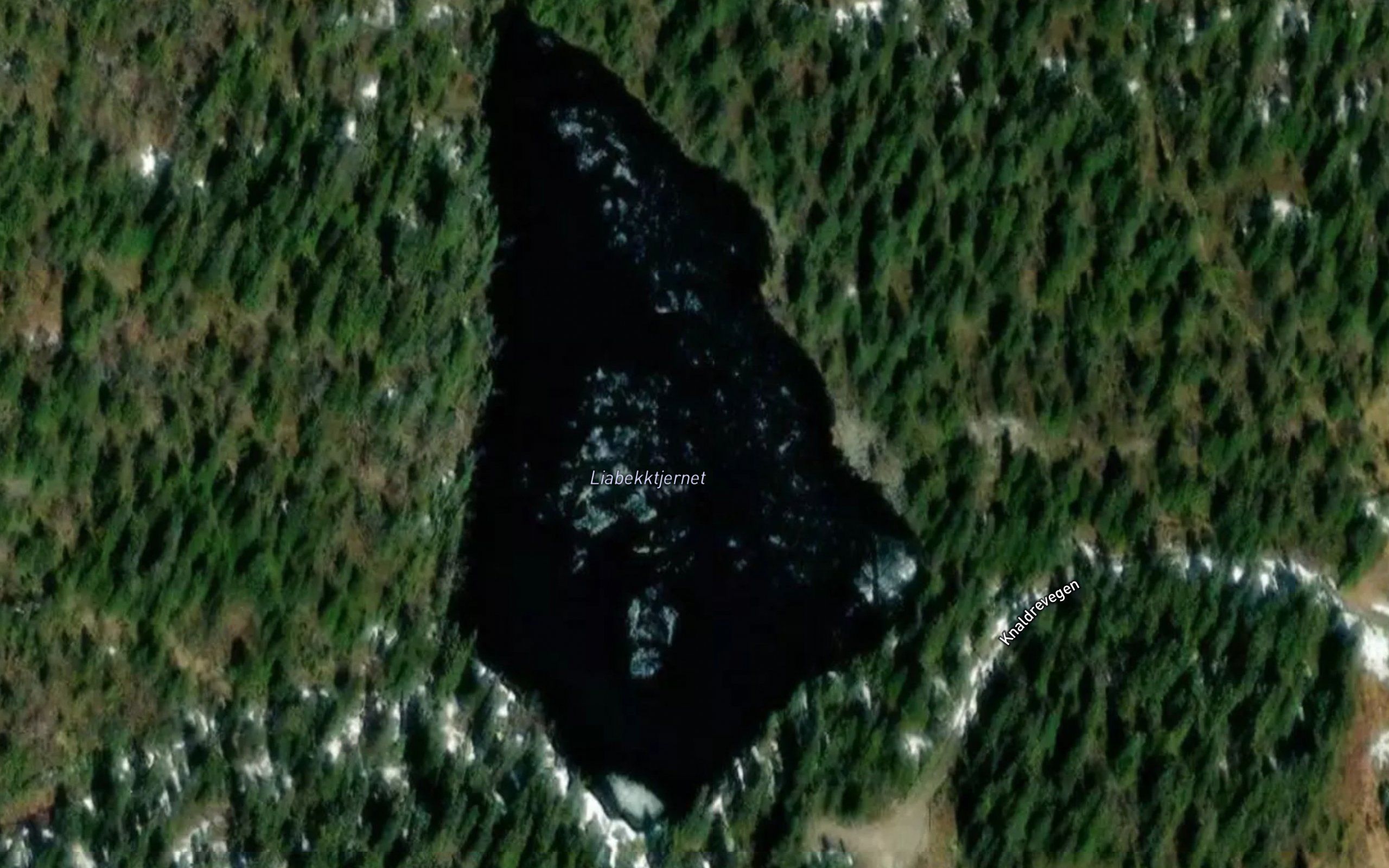 Liabekktjednet