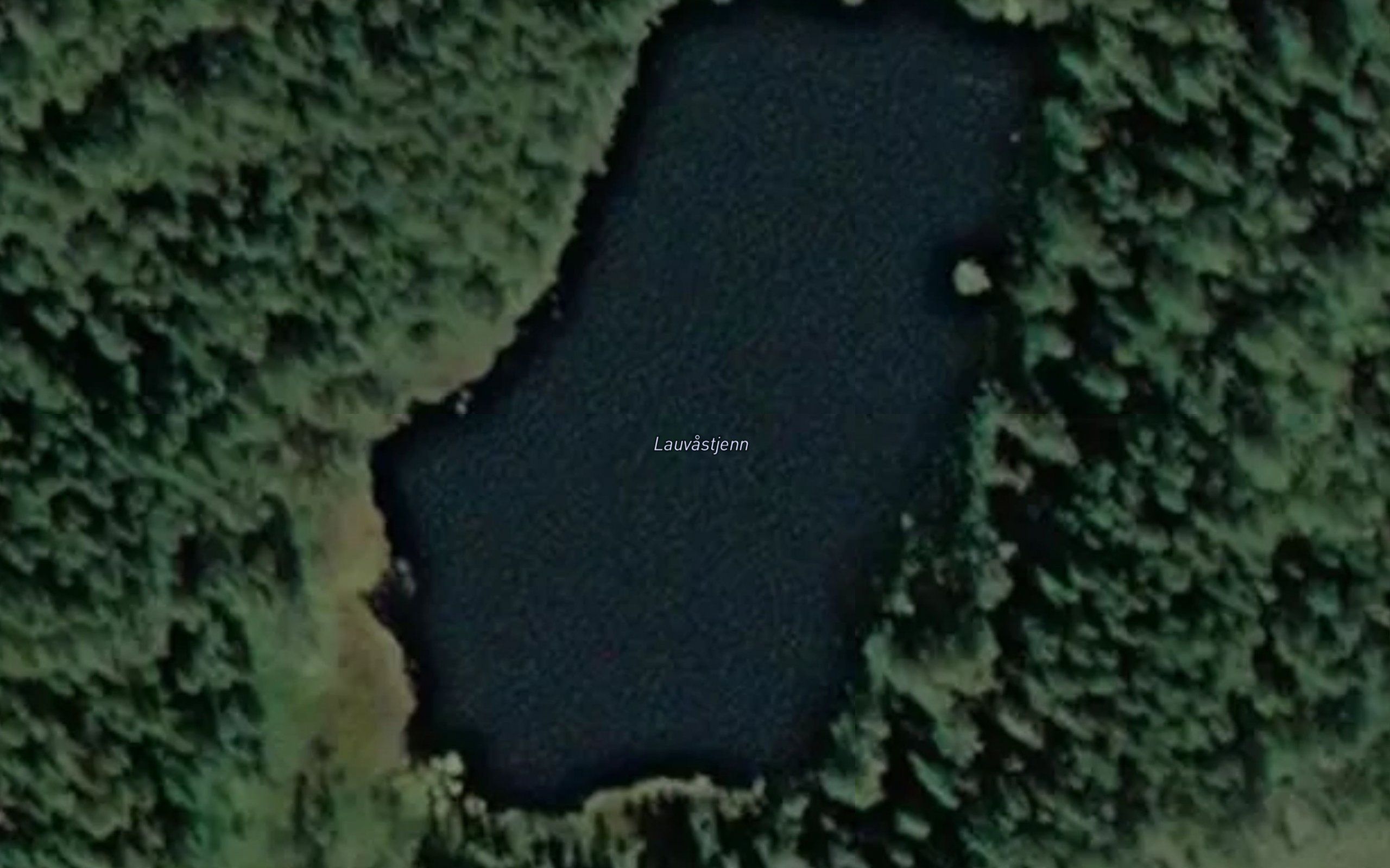 Lauvastjenn