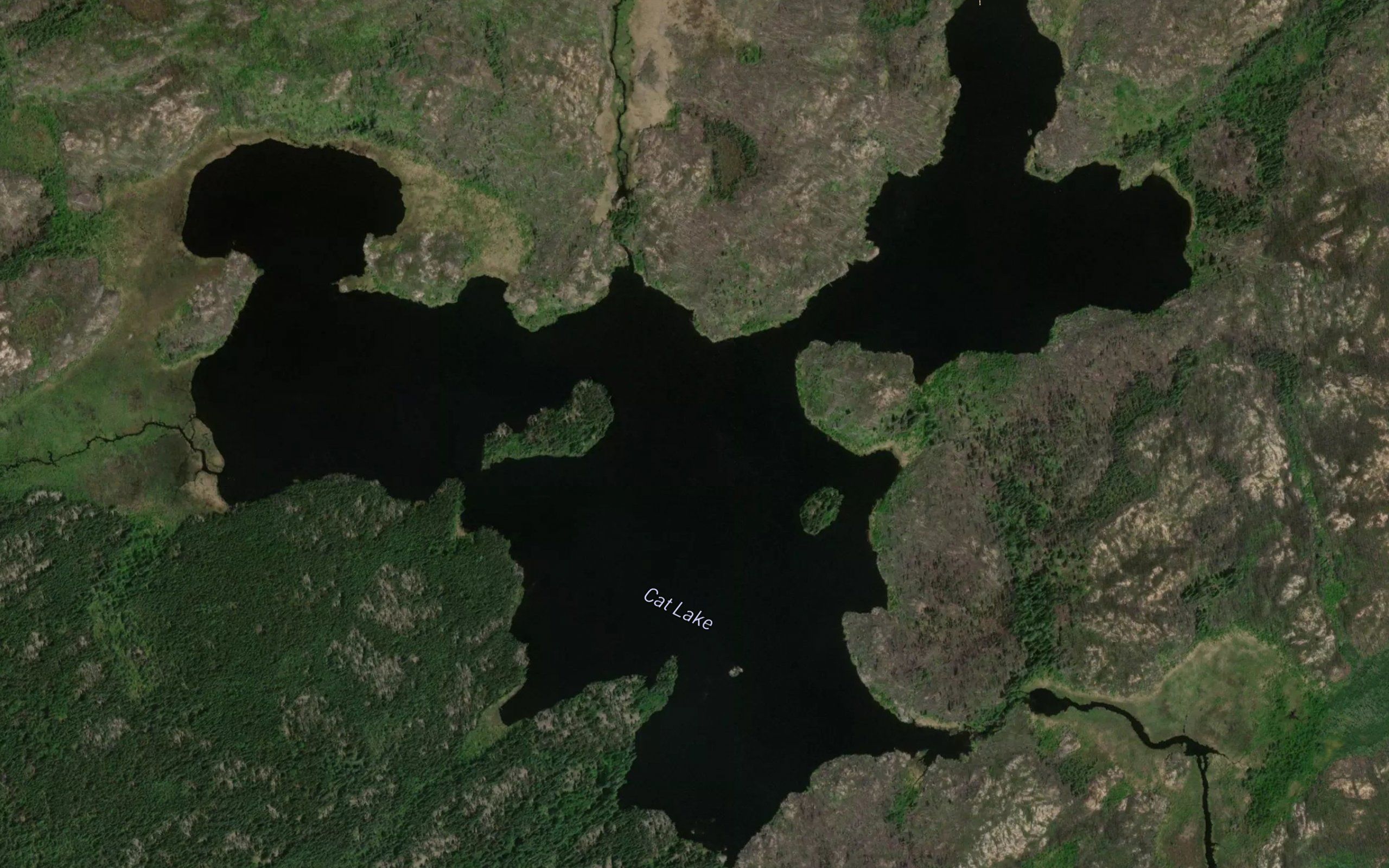 Cat Lake