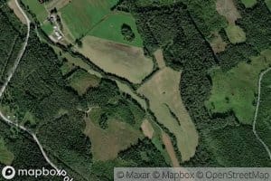 Sarvinginjoki