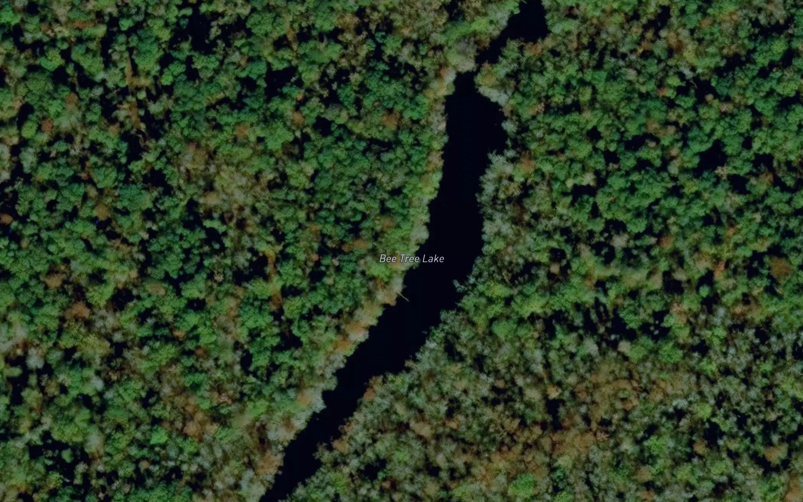 Bee Tree Lake