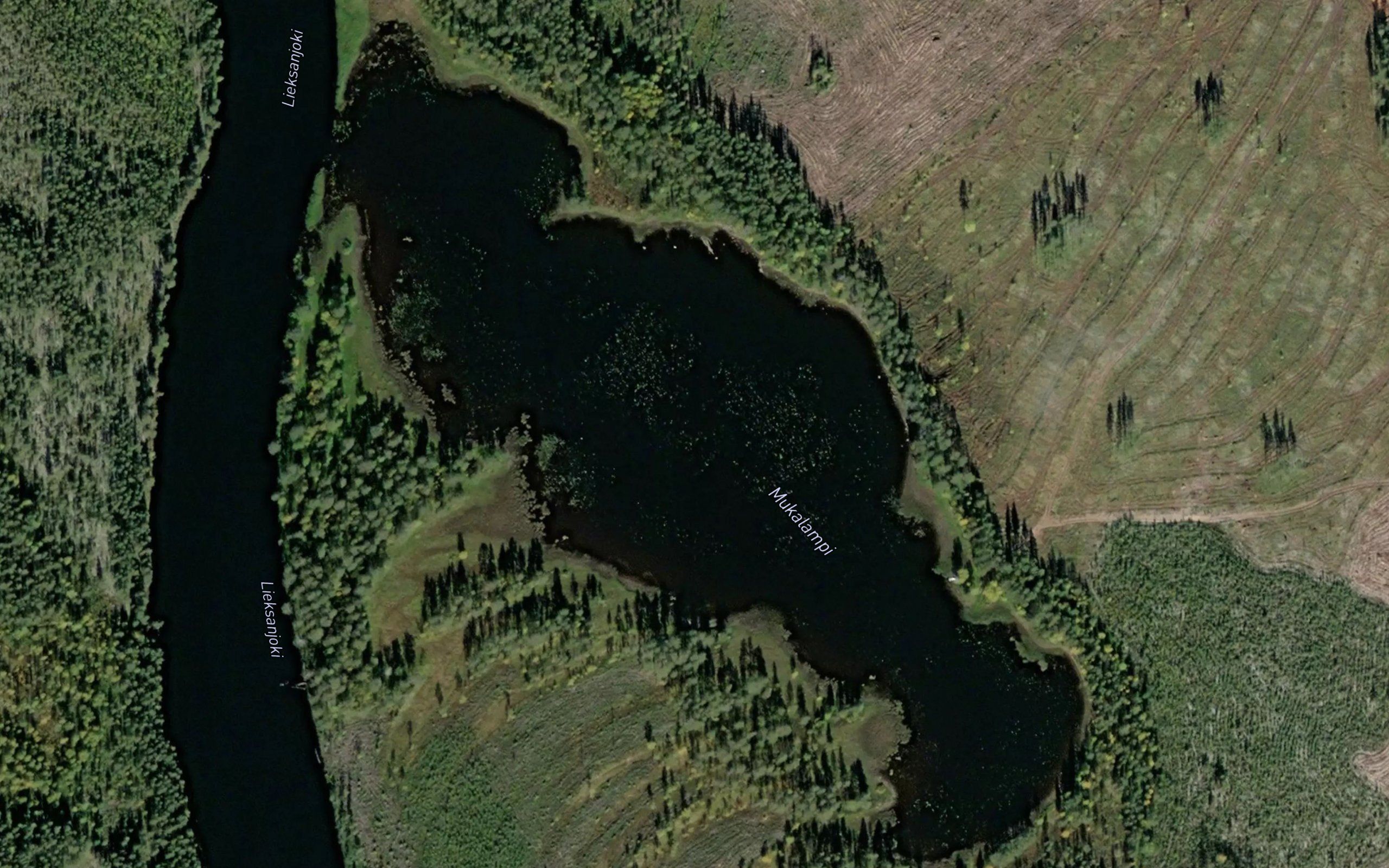 Mukalampi