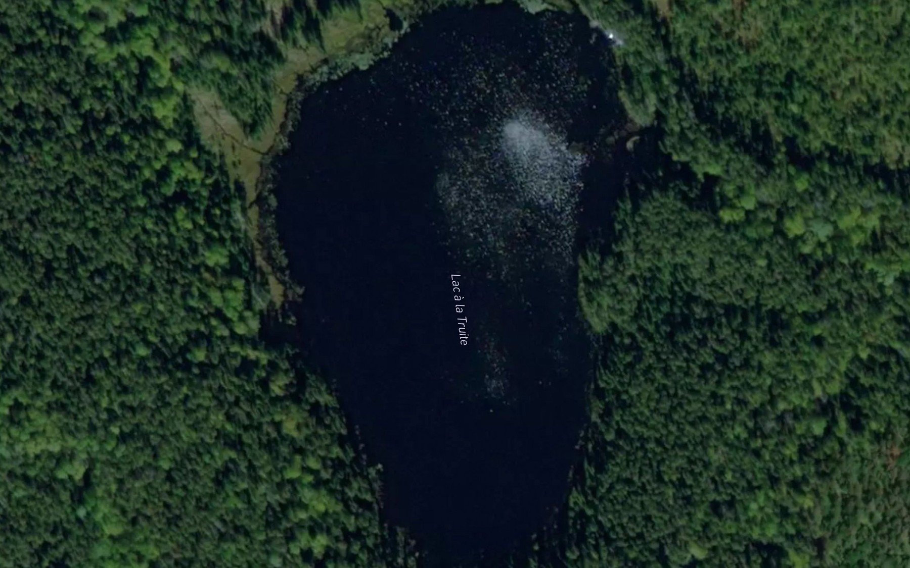 Satellite map of the Lac a la Truite
