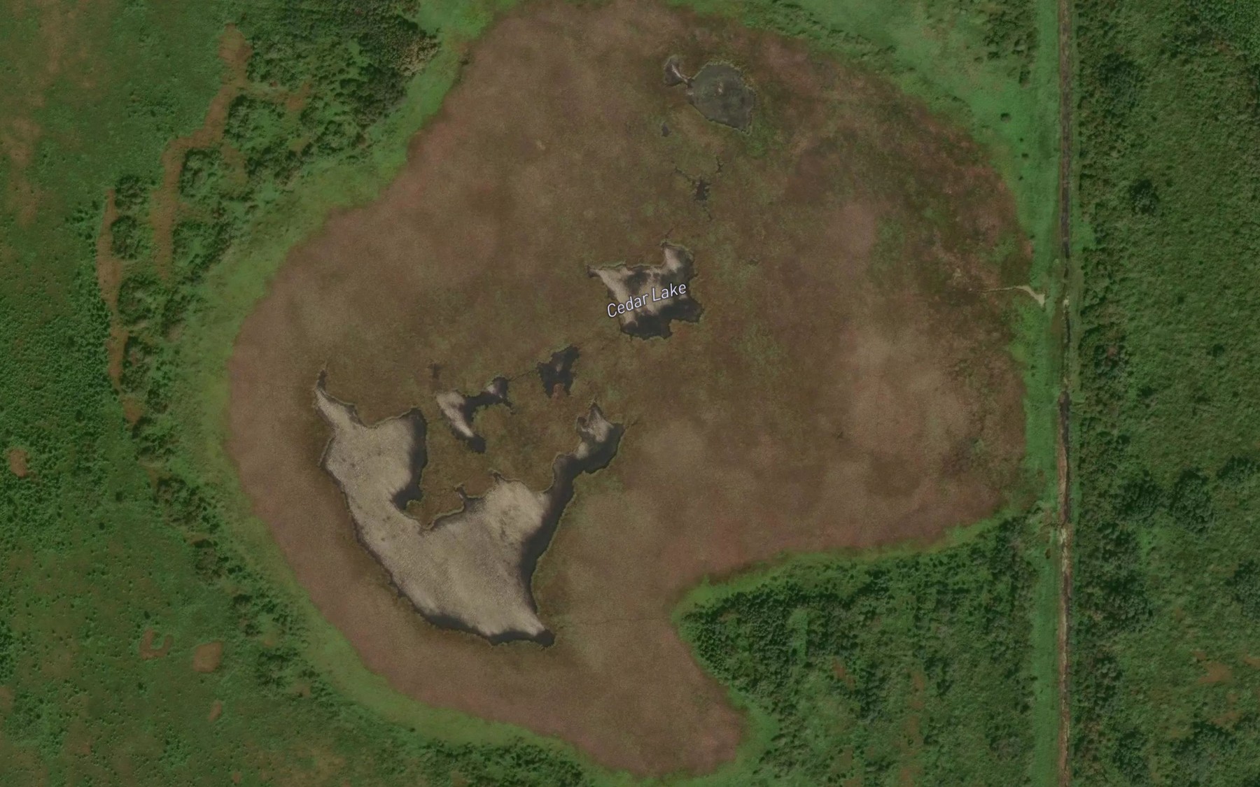 Satellite map of the Cedar Lake