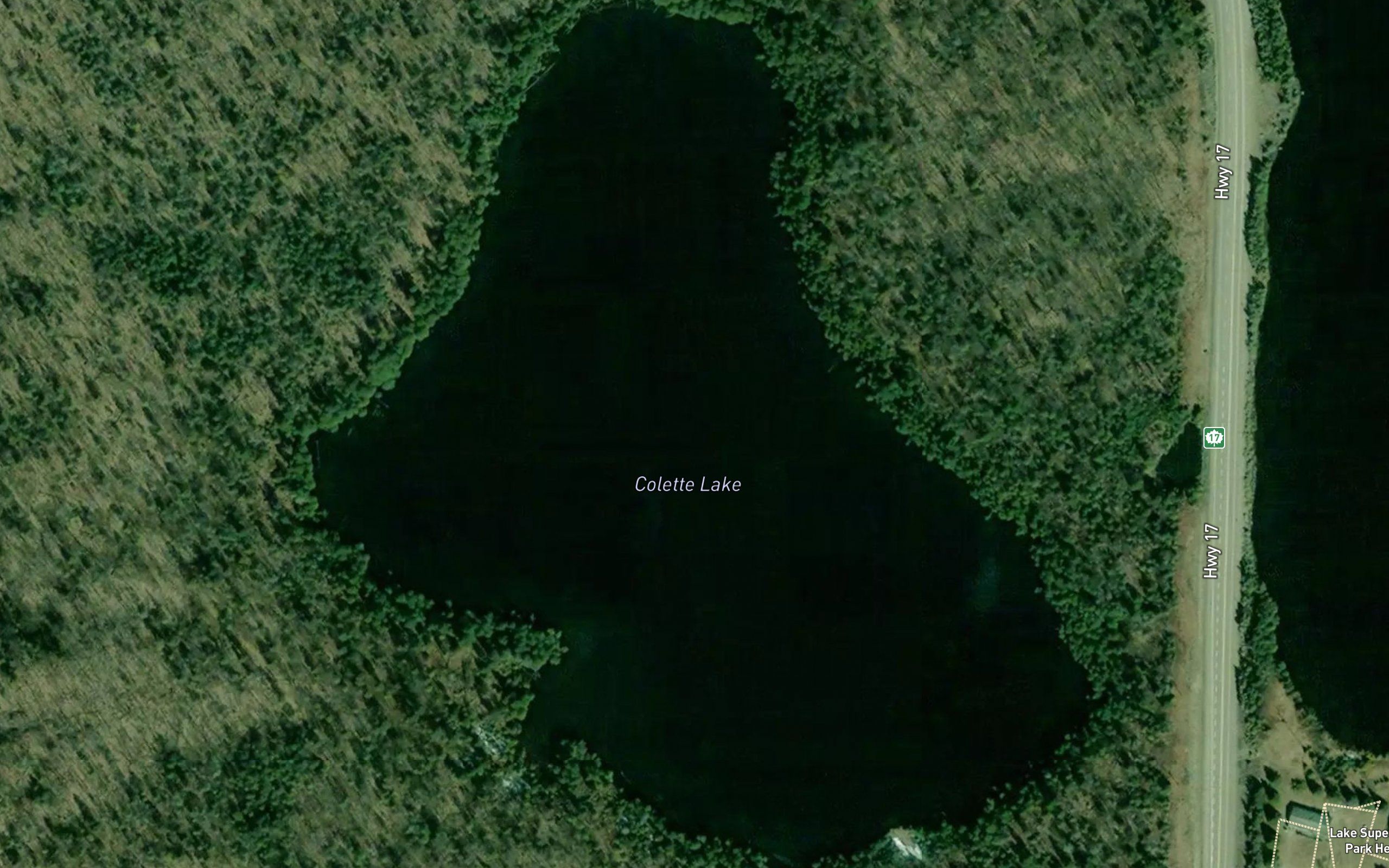 Colette Lake