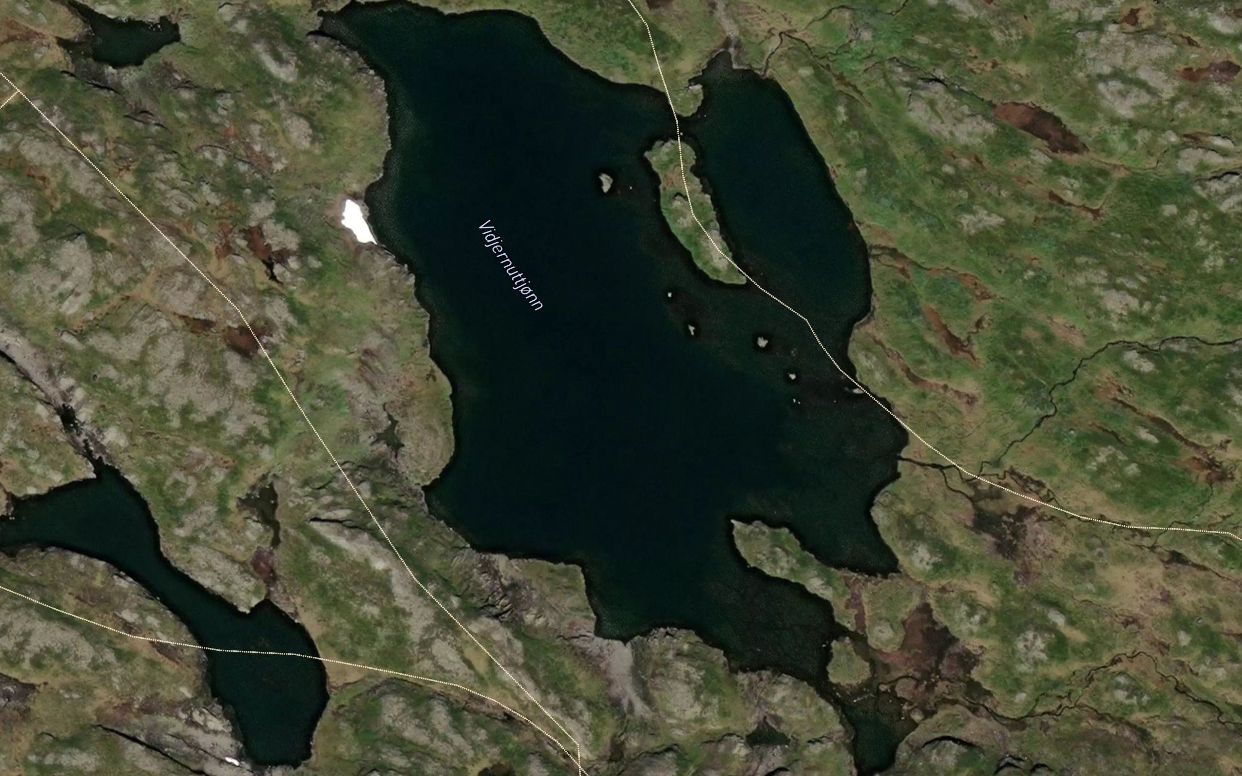 Viernuttjonni