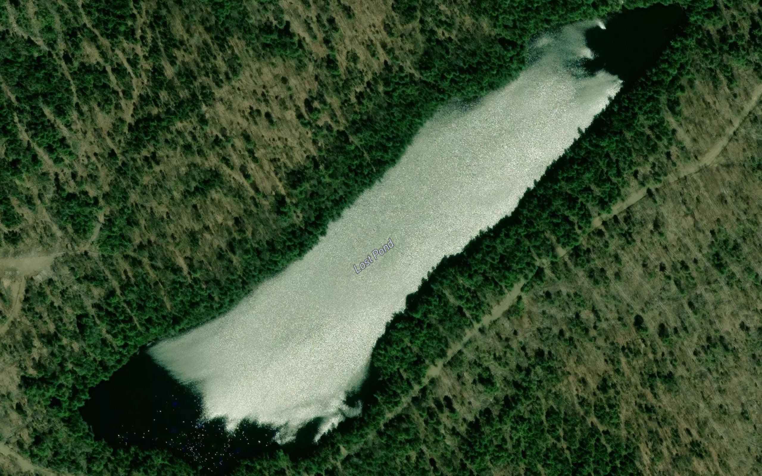 Lost Pond