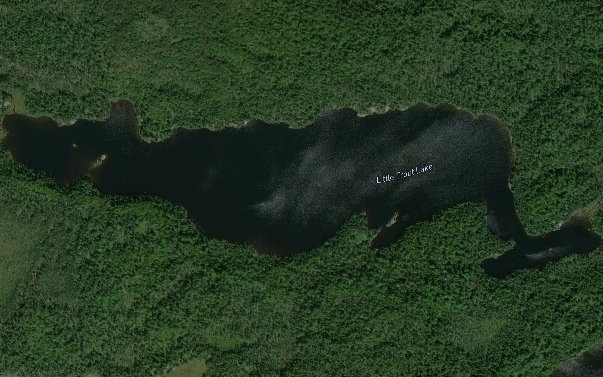 Little Trout Lake
