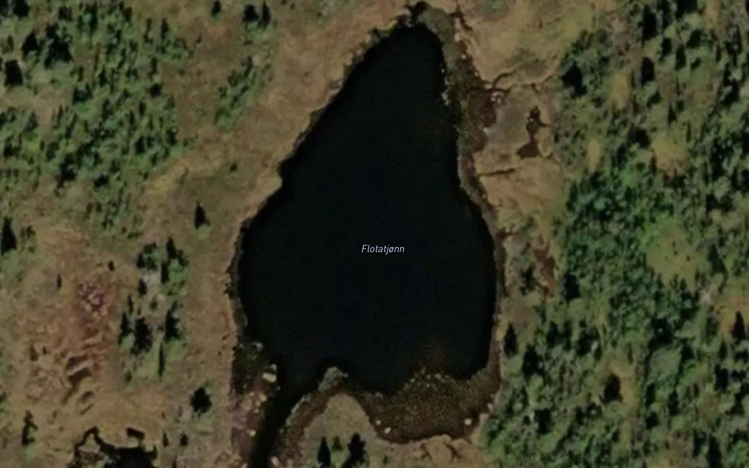 Flotatjonn