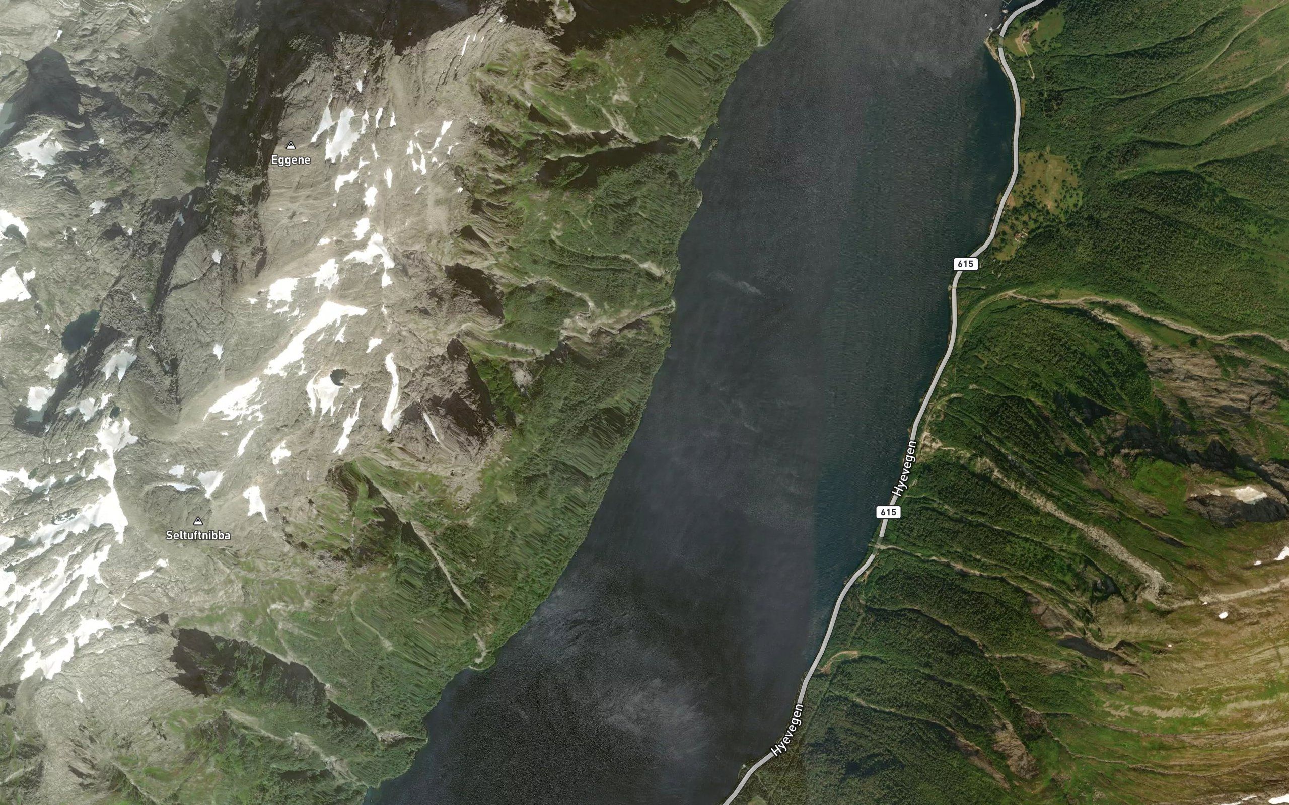 Svinevika