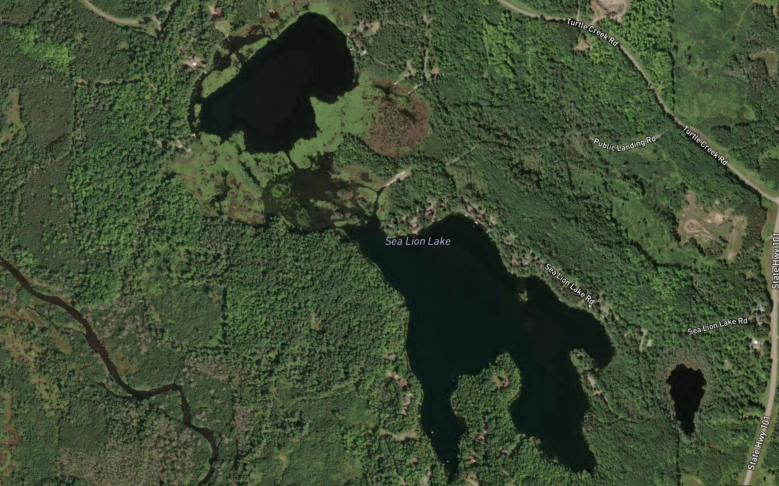 Sea Lion Lake III