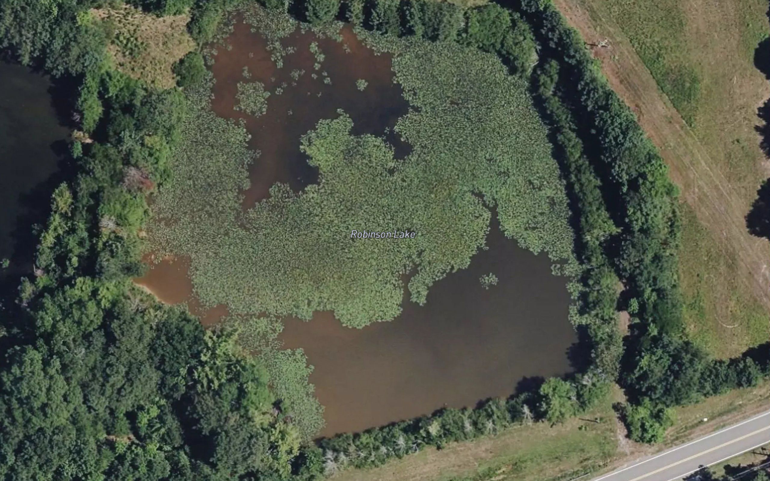 Robinson Lake