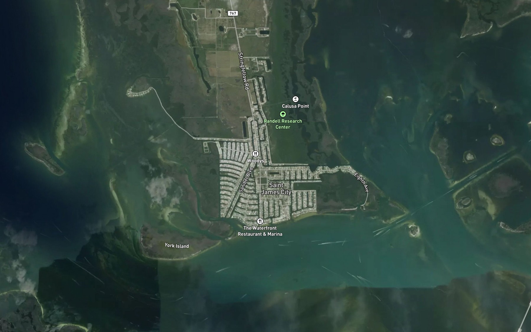 Satellite map of the Dawson Canal