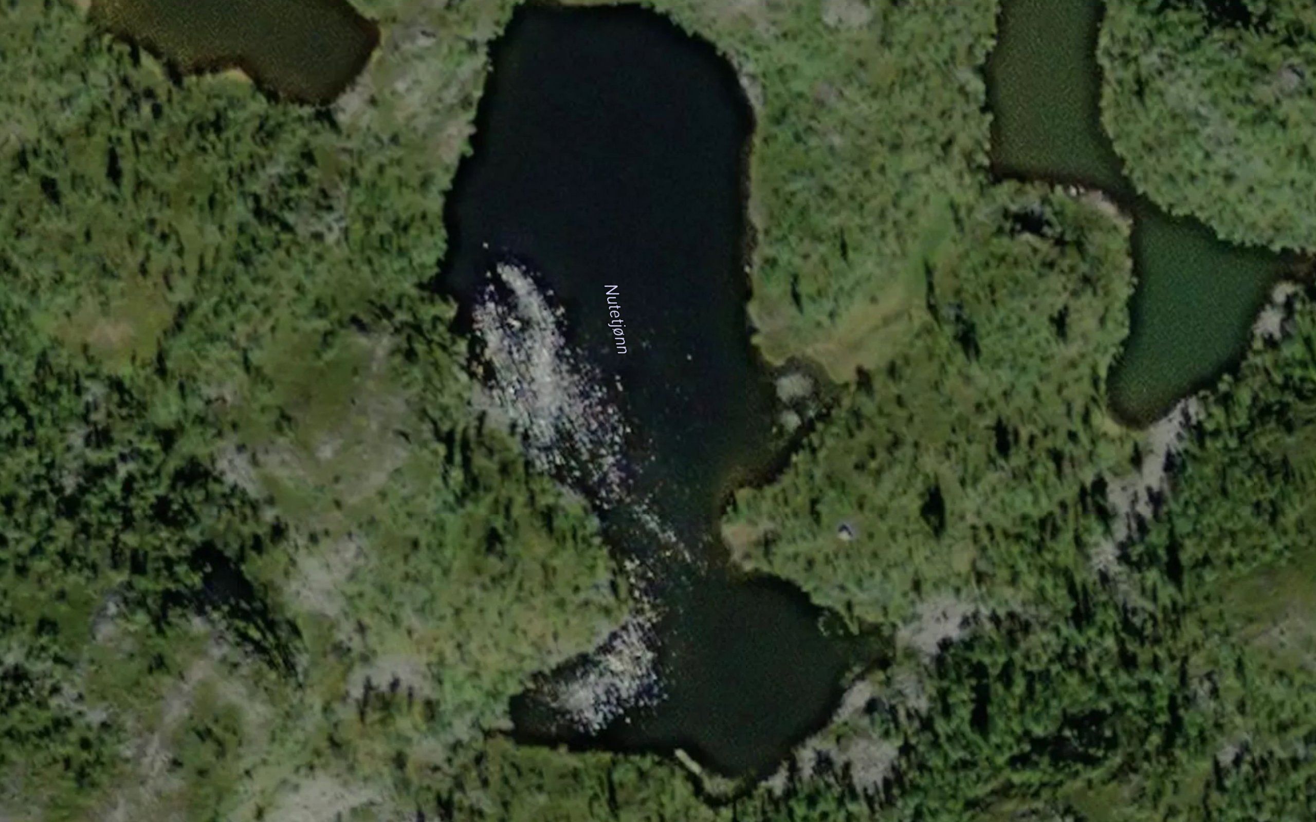 Nutetjorn
