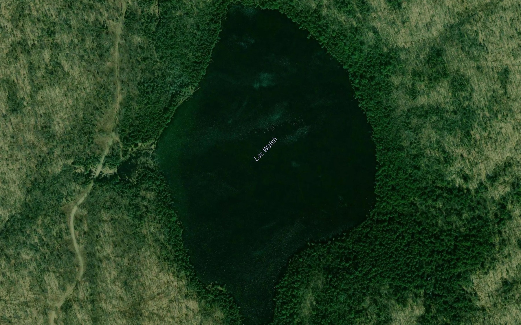 Satellite map of the Lac Walsh