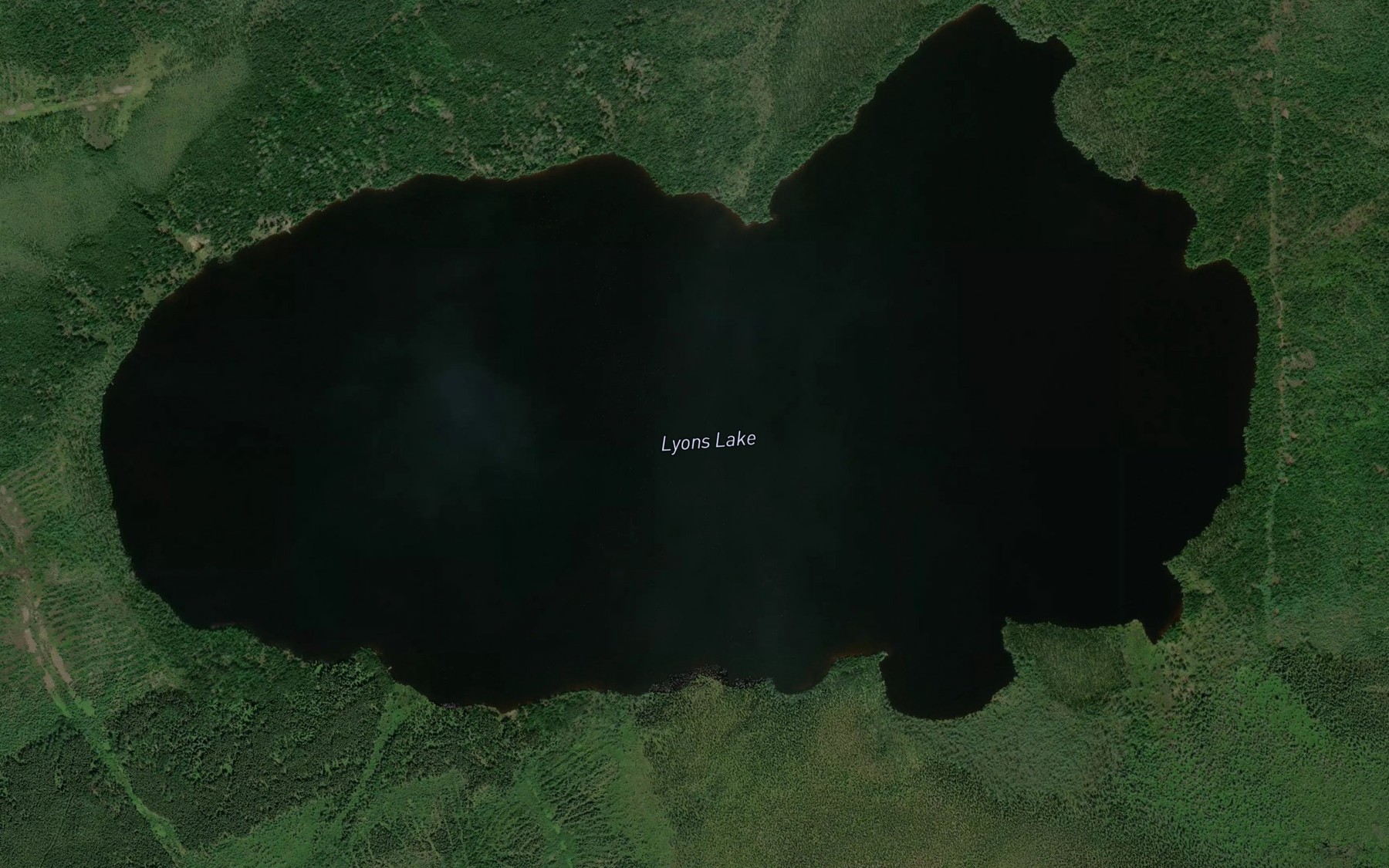 Satellite map of the Lyons Lake