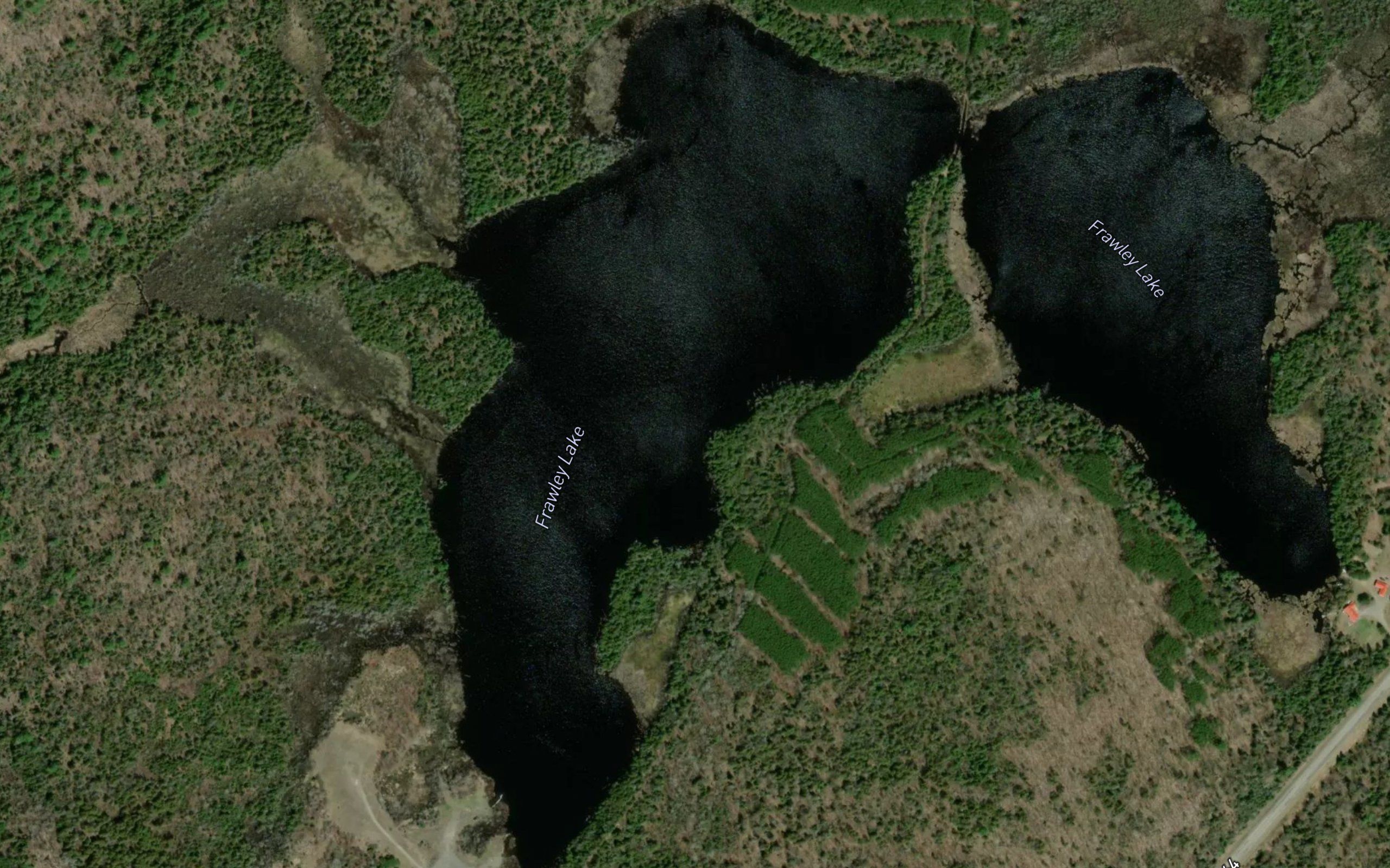 Frawley Lake